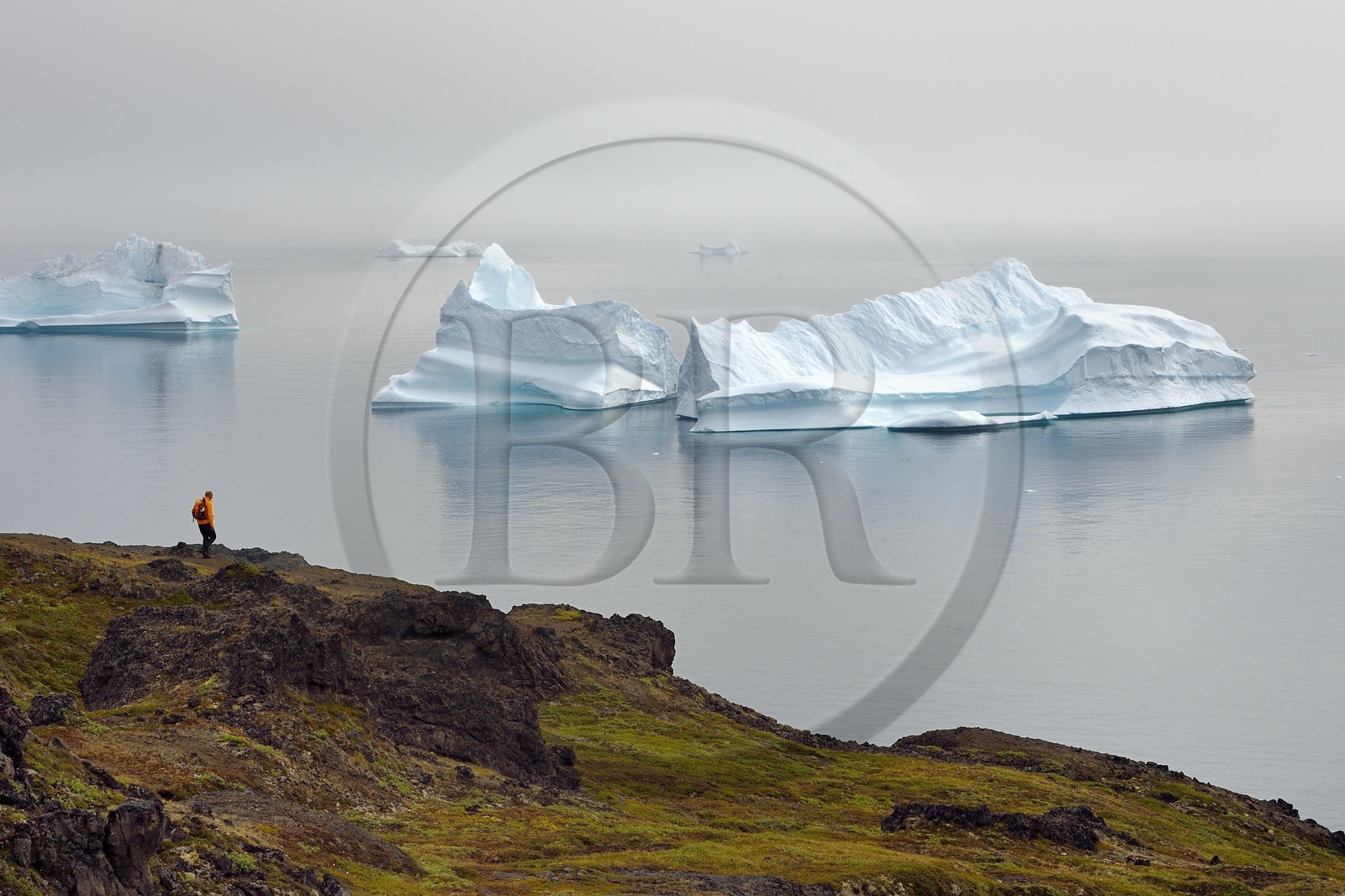 Greenland, west coast, Disko Island, Qeqertarsuaq, hiker on the coast and icebergs in the mist in the background