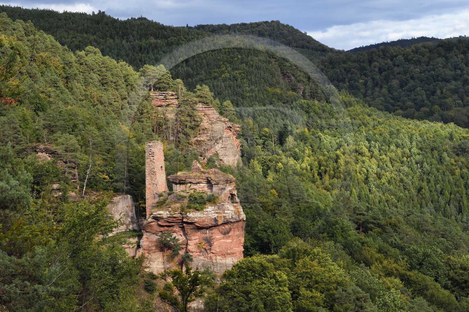France, Bas-Rhin (67), Parc naturel régional des Vosges du Nord, Obersteinbach, foret domaniale de Steinbach, les ruines du chateau du Petit-Arnsberg perché sur un rocher de grès