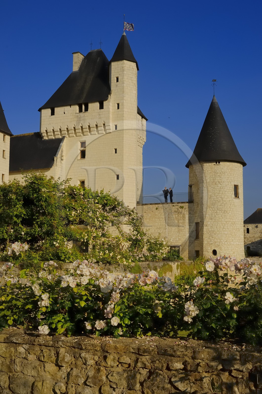 France, Indre et Loire (37), château du Rivau