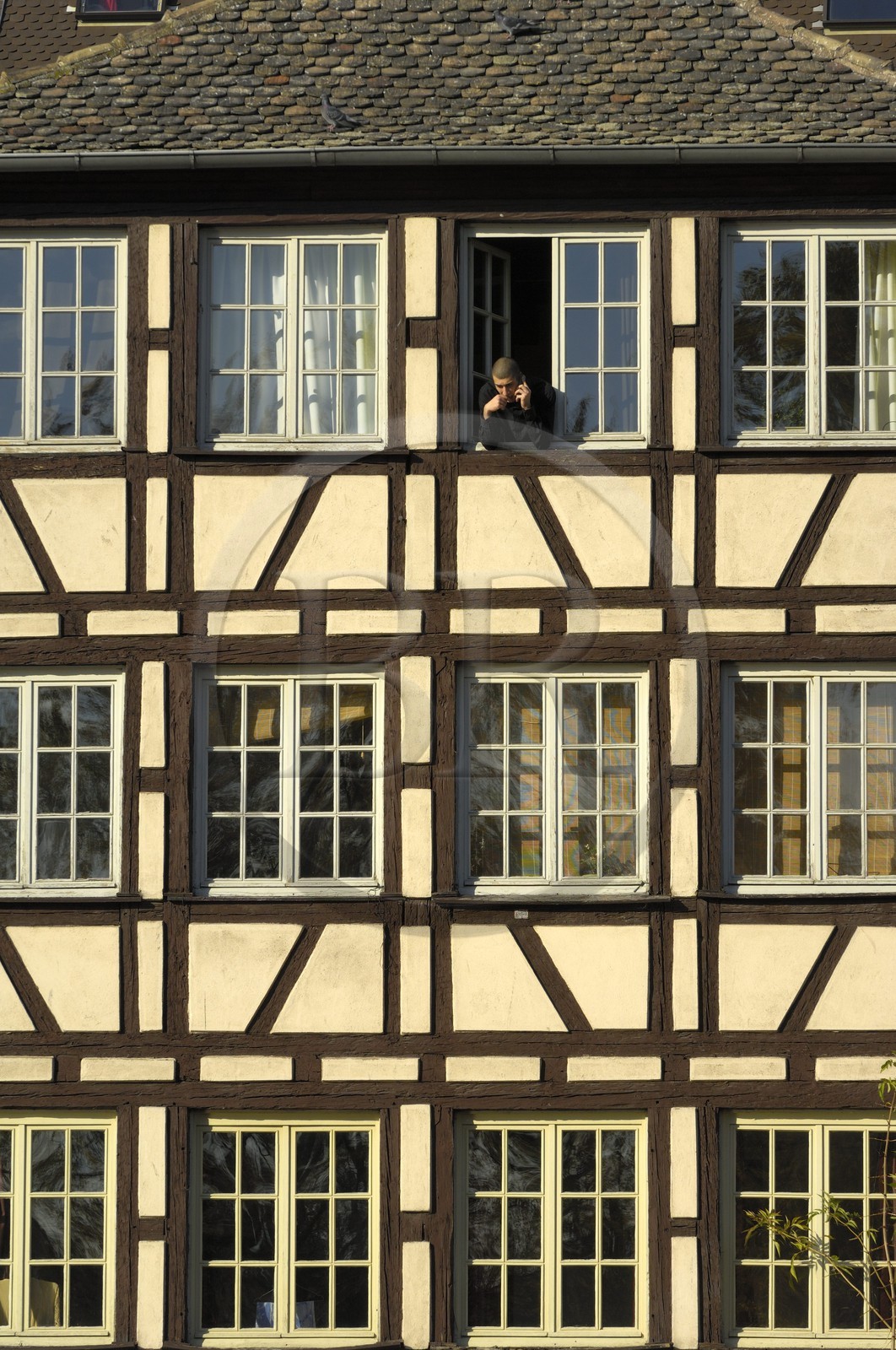 France, Bas Rhin (67), Strasbourg, quartier de la Petite France, maisons à colombage