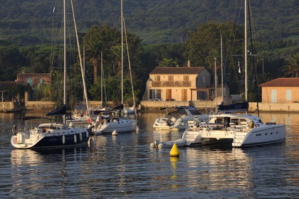 France, Var (83), Iles d'Hyères, parc national de Port-Cros, île de Porquerolles, le port du village