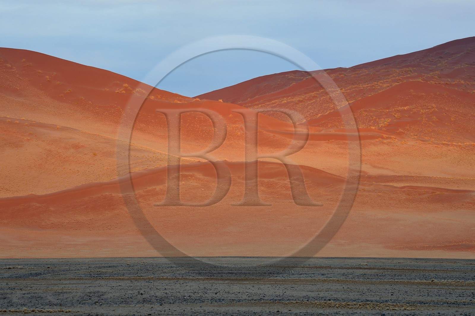 Namibie, région d'Hardap, désert du Namib, parc national du Namib-Naukluft, Erg du Namib classé Patrimoine Mondial de l'UNESCO, dunes de Sossusvlei