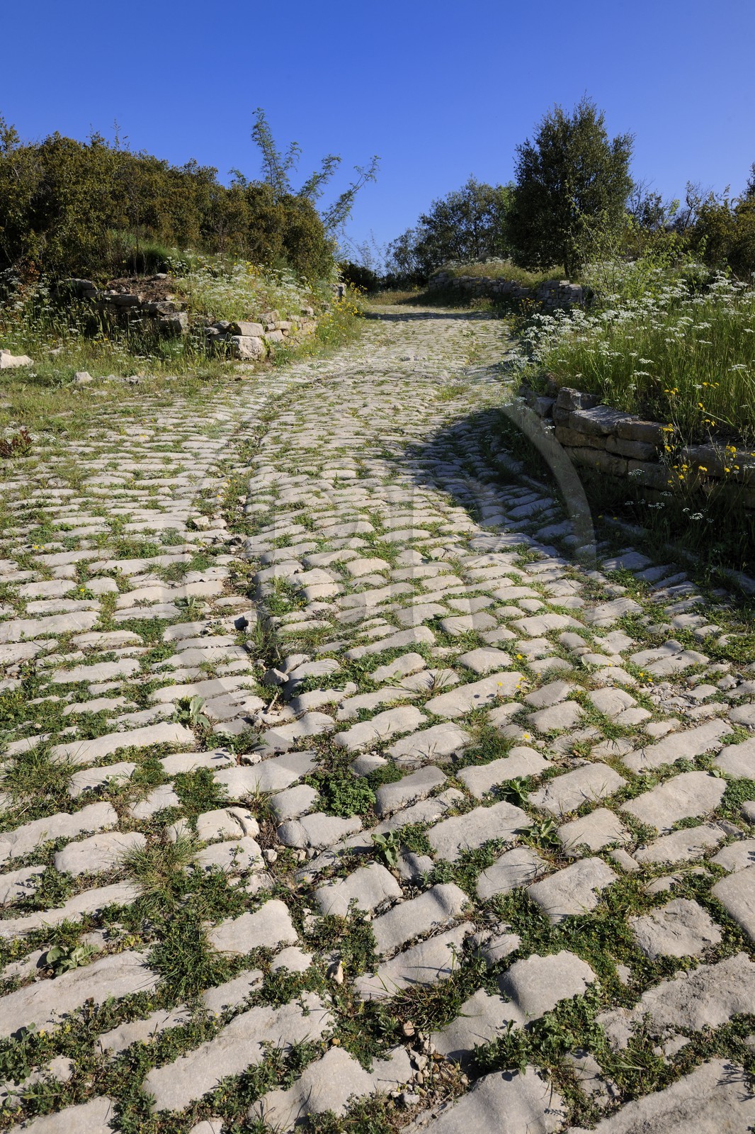 France, Herault, near Lunel, Oppidum of Ambrussum on the Via Domitia, paved streets worn out by the passage of wagons