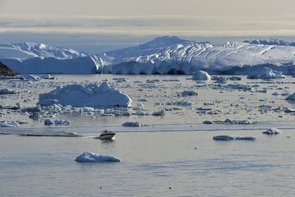Groenland, cote ouest, baie de Disko, Ilulissat, hors-bord traversant le site du fjord glacé classé Patrimoine Mondial de l'UNESCO