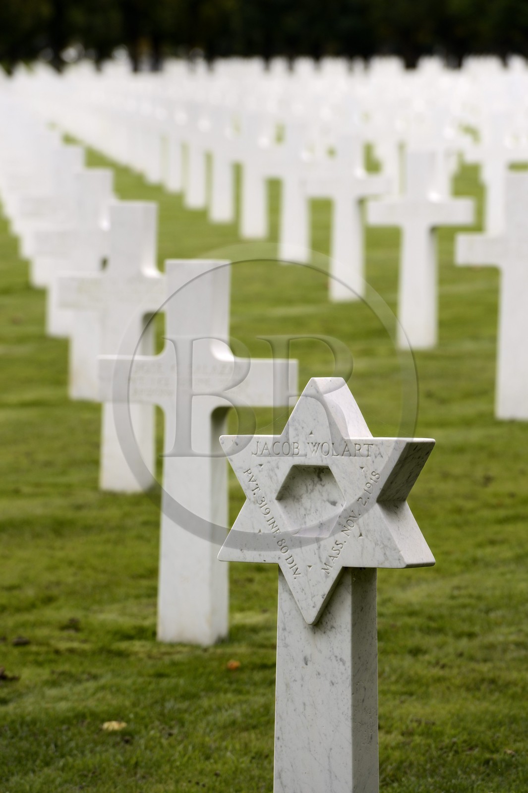 France, Meuse (55), le cimetière américain de Romagne-sous-Montfaucon, 14 246 américains ayant combattu lors de la Première Guerre mondiale y sont enterrés, tombe juive au milieu de tombes chrétiennes