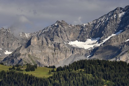 Suisse, canton de Vaud, Villars-sur-Ollon, panorama sur le massif de l'Argentine surplombant Solalex