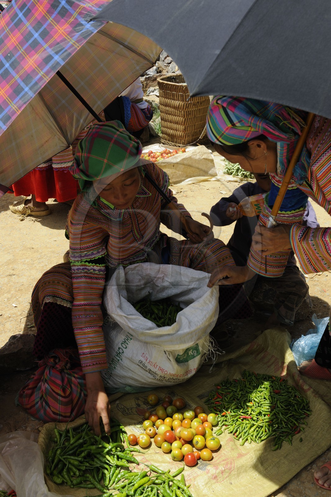 Vietnam, Lao Cai province, Bac Ha district, Can Cau market, women from the Flower Hmong minority