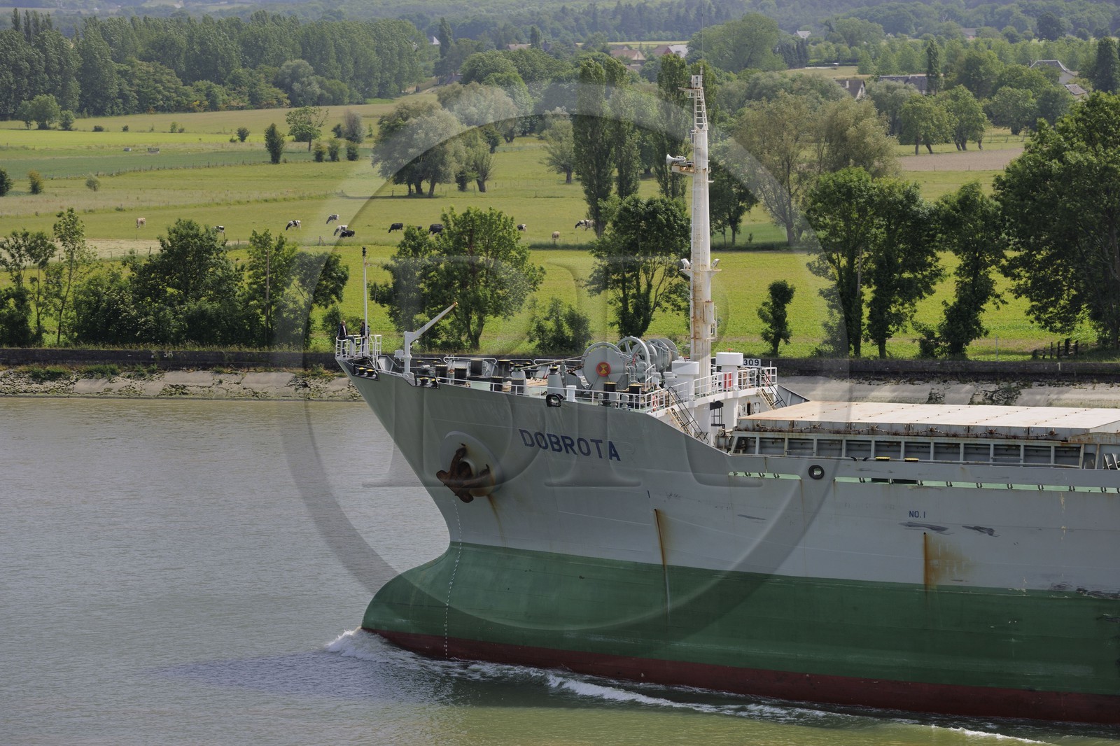 France, Seine-Maritime (76), Caudebec-en-Caux, bateau de haute mer Bulk Carrier Dobrota remontant la Seine en direction du port de Rouen