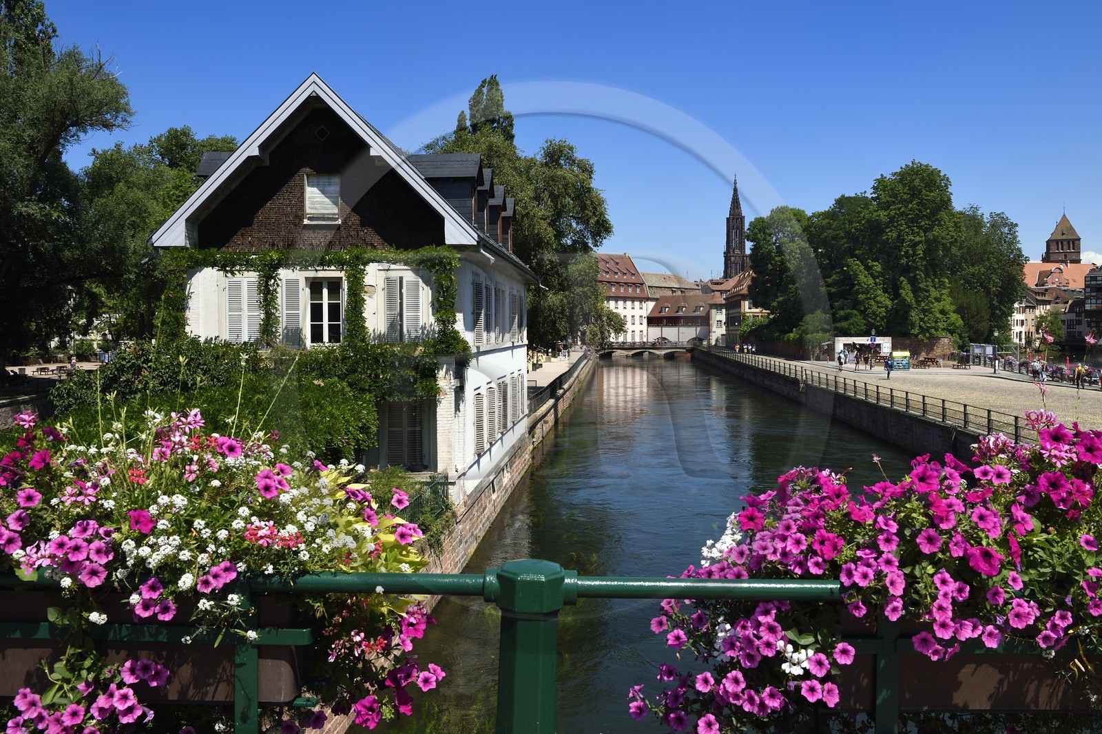France, Bas-Rhin (67), Strasbourg, vieille ville classée au Patrimoine Mondial de l'UNESCO, quartier de la Petite France, quai du Woerthel et la Cathédrale en arrière plan