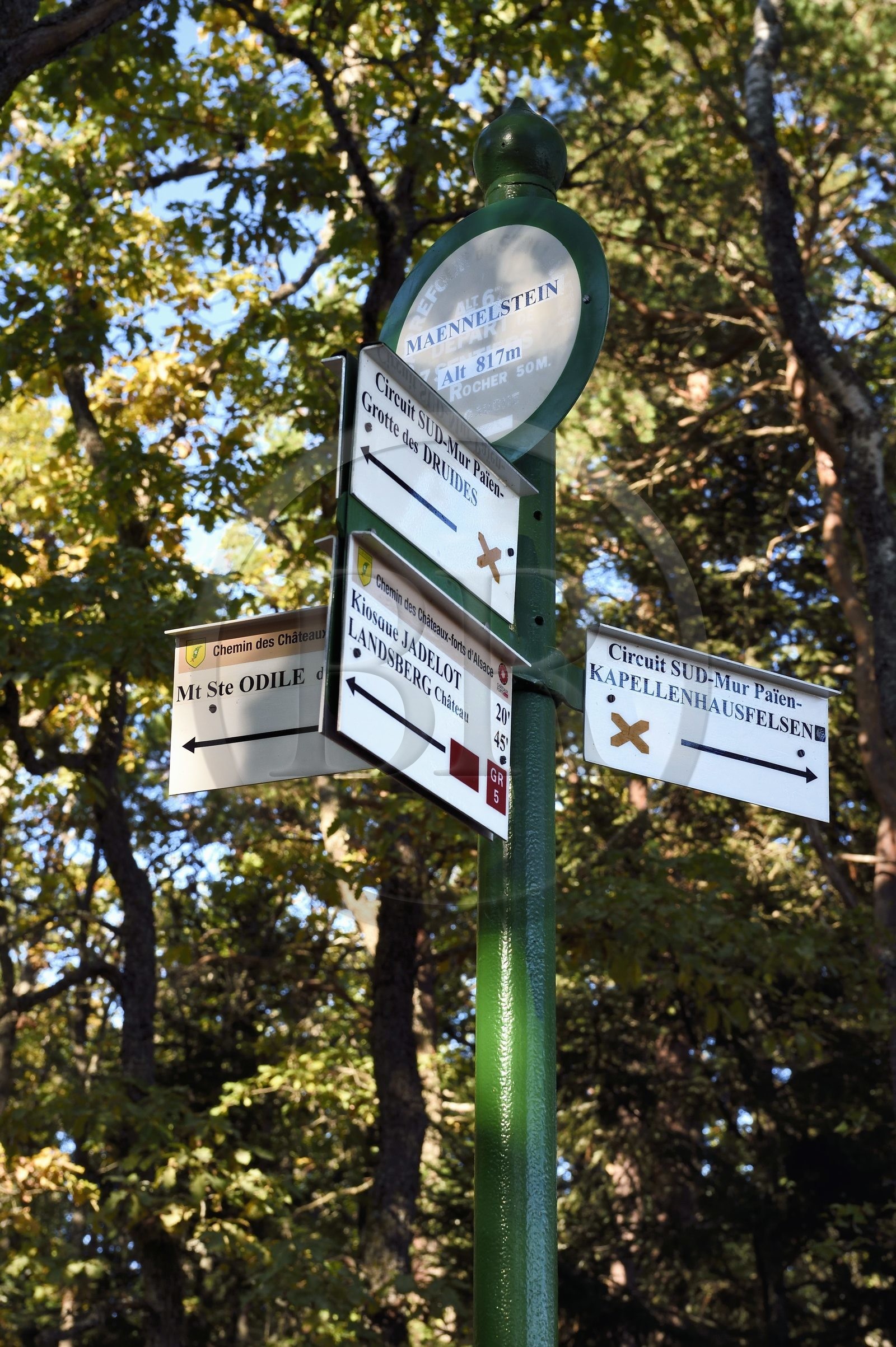 France, Bas Rhin, Mont Saint Odile, hike around the Pagan Wall, vestige of a wall probably from the Merovingian period with a total length of eleven kilometers