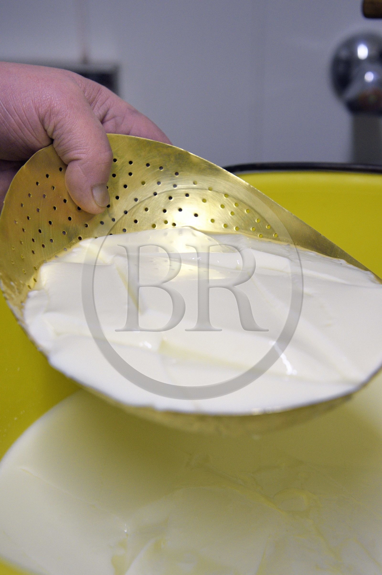 France, Haut-Rhin (68), Wasserbourg, Ferme-auberge Buchwald, le marcaire Michel Wehrey à la fabrication du fromage de munster AOP (lait de vache), le siesskass fromage frais d’un jour