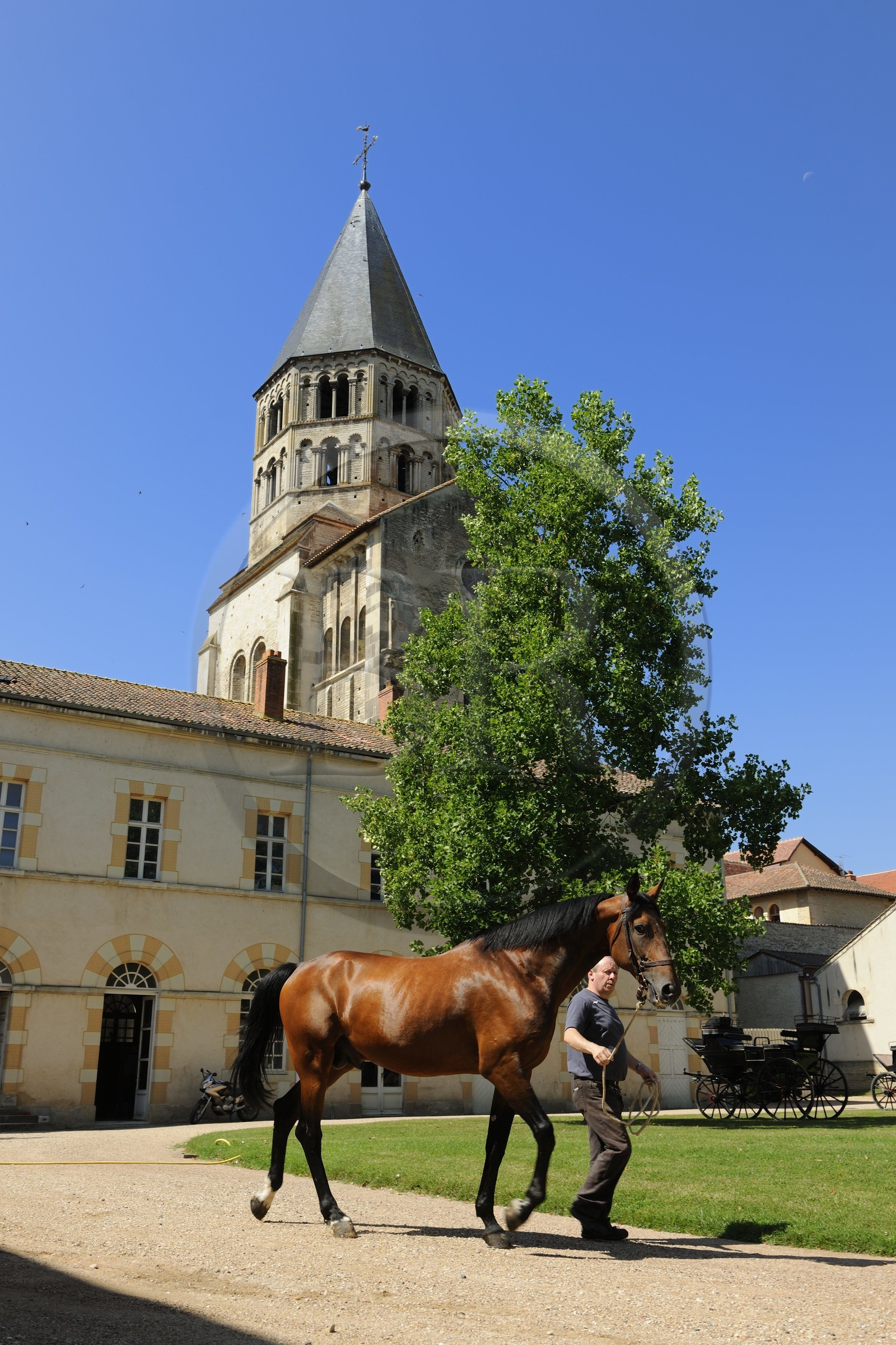 France, Saône et Loire (71), Cluny, le Haras national accolé au clocher de l'Eau Bénite de l'ancienne abbaye