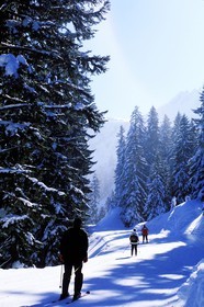 France, Haute-Savoie (74), domaine des portes du soleil, domaine skiable de Morzine