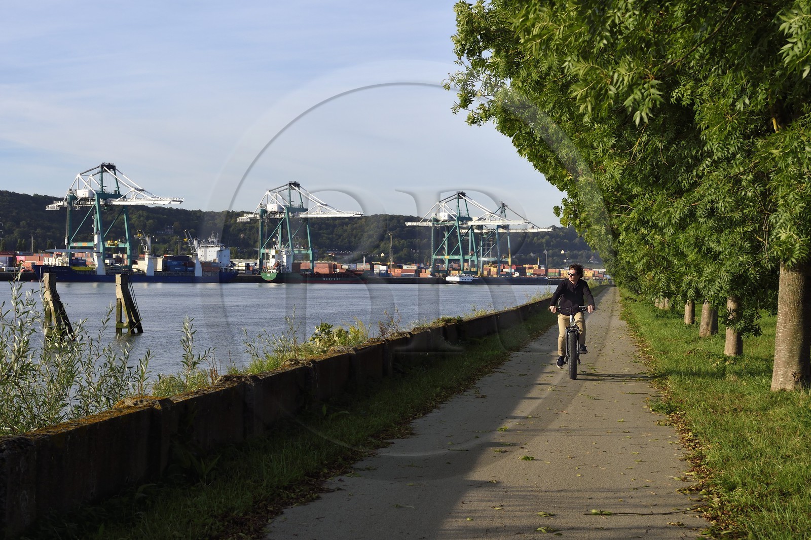 France, Seine-Maritime, Norman Seine River Meanders Regional Nature Park, Hautot sur Seine, cyclist on the veloroute facing the Grand Port Maritime of Rouen