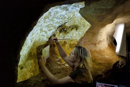 France, Dordogne (24), Montignac, l’Atelier des Fac-Similés du Périgord (AFSP) spécialisé dans la reproduction minérale de parois ornées de la préhistoire et en charge de la reconstitution fidèle des parois de la grotte de Lascaux, reproductions des peintures par la peintre-copiste Beth, mention obligatoire Atelier des Fac-Similés du Périgord