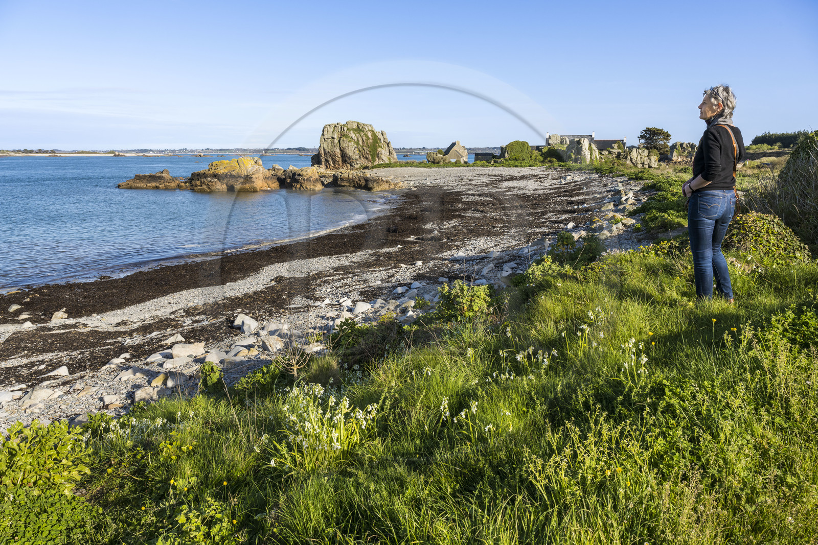 France, Côtes-d'Armor (22), Côte d'Ajoncs, Plougrescant, la plage de Porz Hir ou Pors-hir sur le chemin de Grande Randonnée GR 34