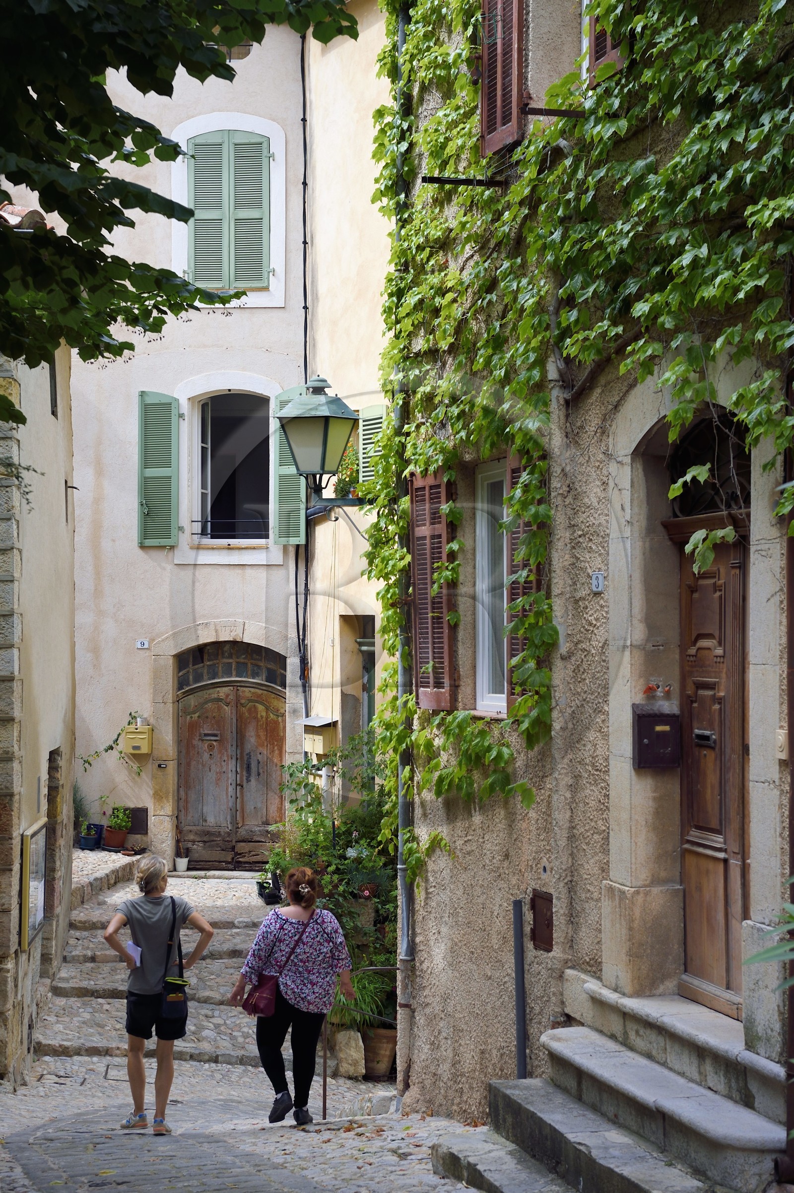 France, Var (83), Seillans, labellisé Les Plus Beaux Villages de France, rue du Mitan-Four