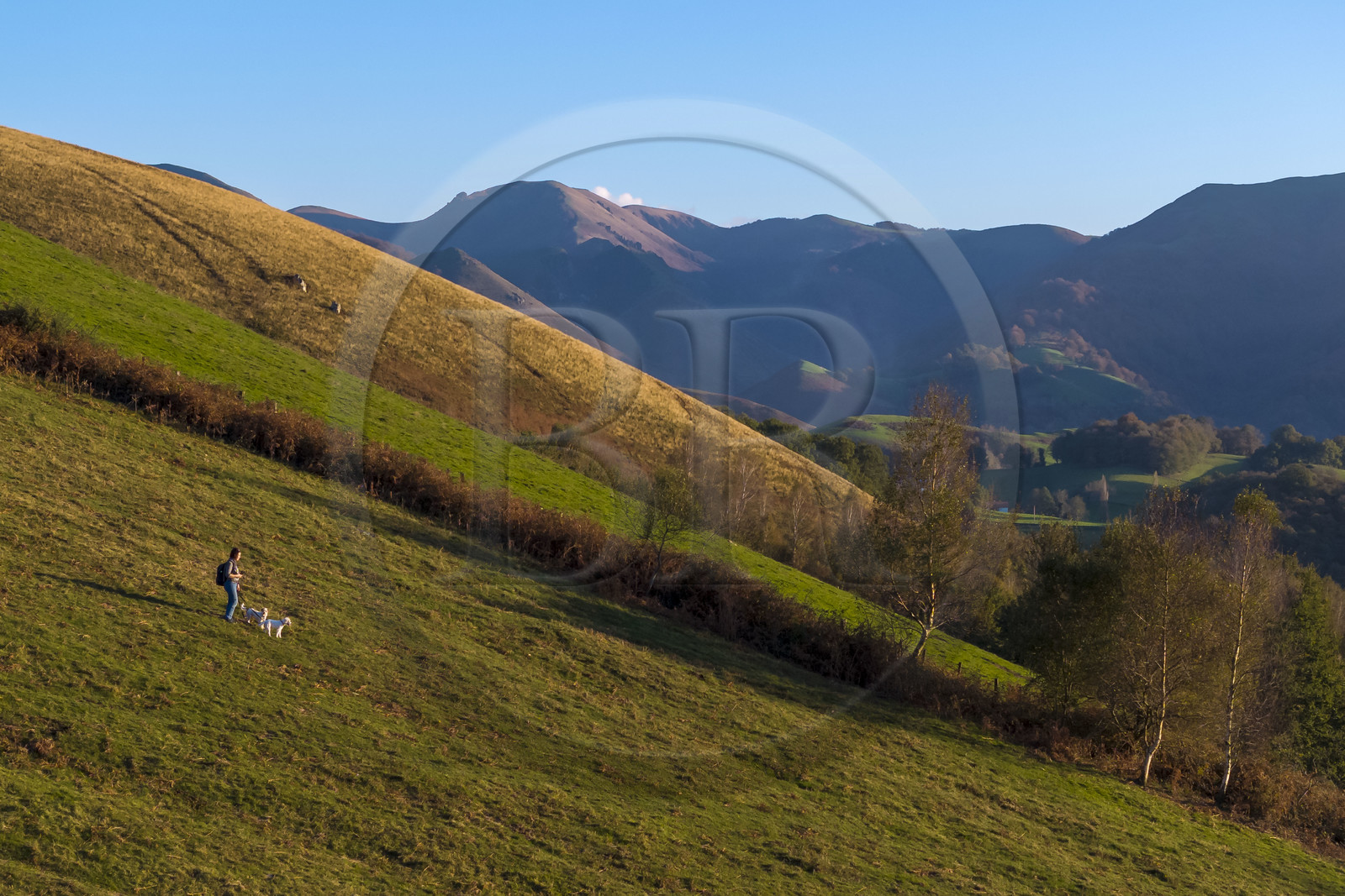 France, Pyrénées-Atlantiques (64), Pays-Basque, sur les hauteurs de la vallée des Aldudes