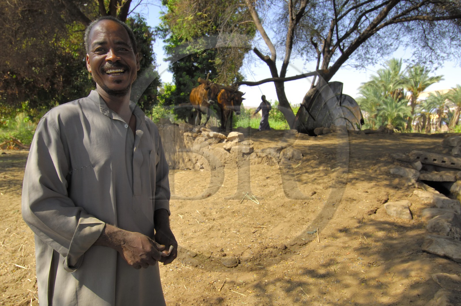 Egypte, Haute Egypte, Nubie, vallée du Nil, Assouan, la rive ouest, puit dans la campagne nubienne