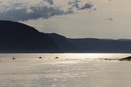 Canada, province de Québec, région du Manicouagan, embouchure du fjord du Saguenay vers Tadoussac