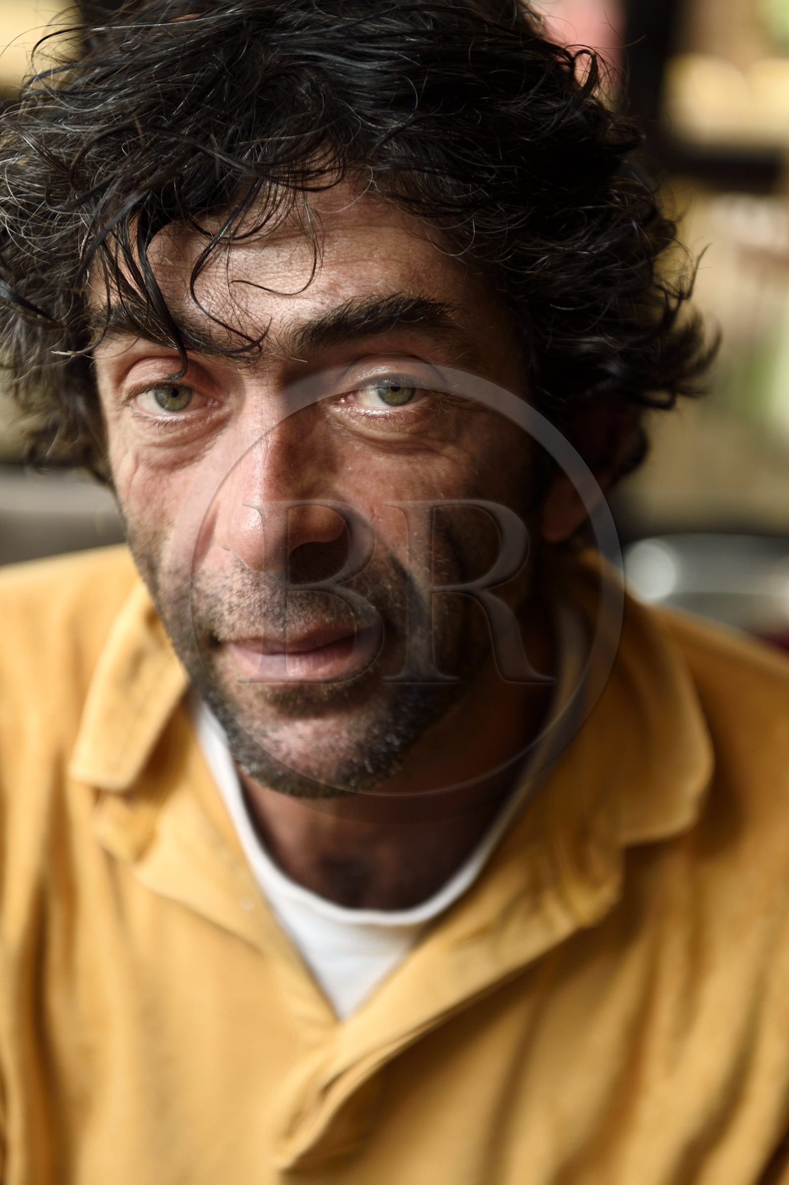 France, Var (83), Iles d'Hyères, parc national de Port Cros, Ile de Porquerolles, port du village, le pêcheur Pierre Pironneau