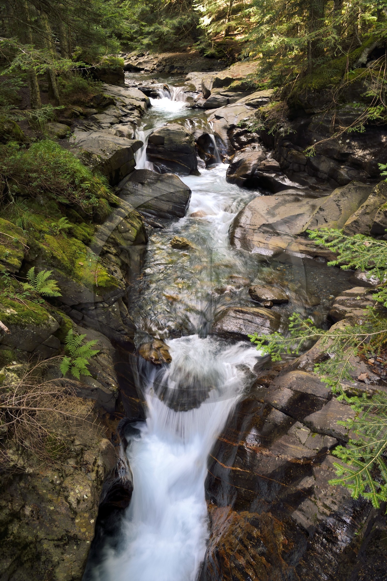 France, Hautes-Pyrénées (65), Saint-Lary-Soulan, vallée du Rioumajou, la (rivière) Neste de Rioumajou
