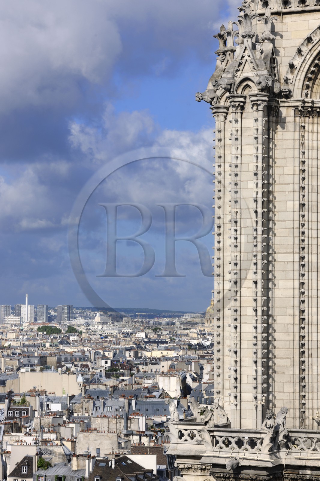 France, Paris (75), île de la Cité, la cathédrale Notre-Dame, les gargouilles et les chimères observent la ville