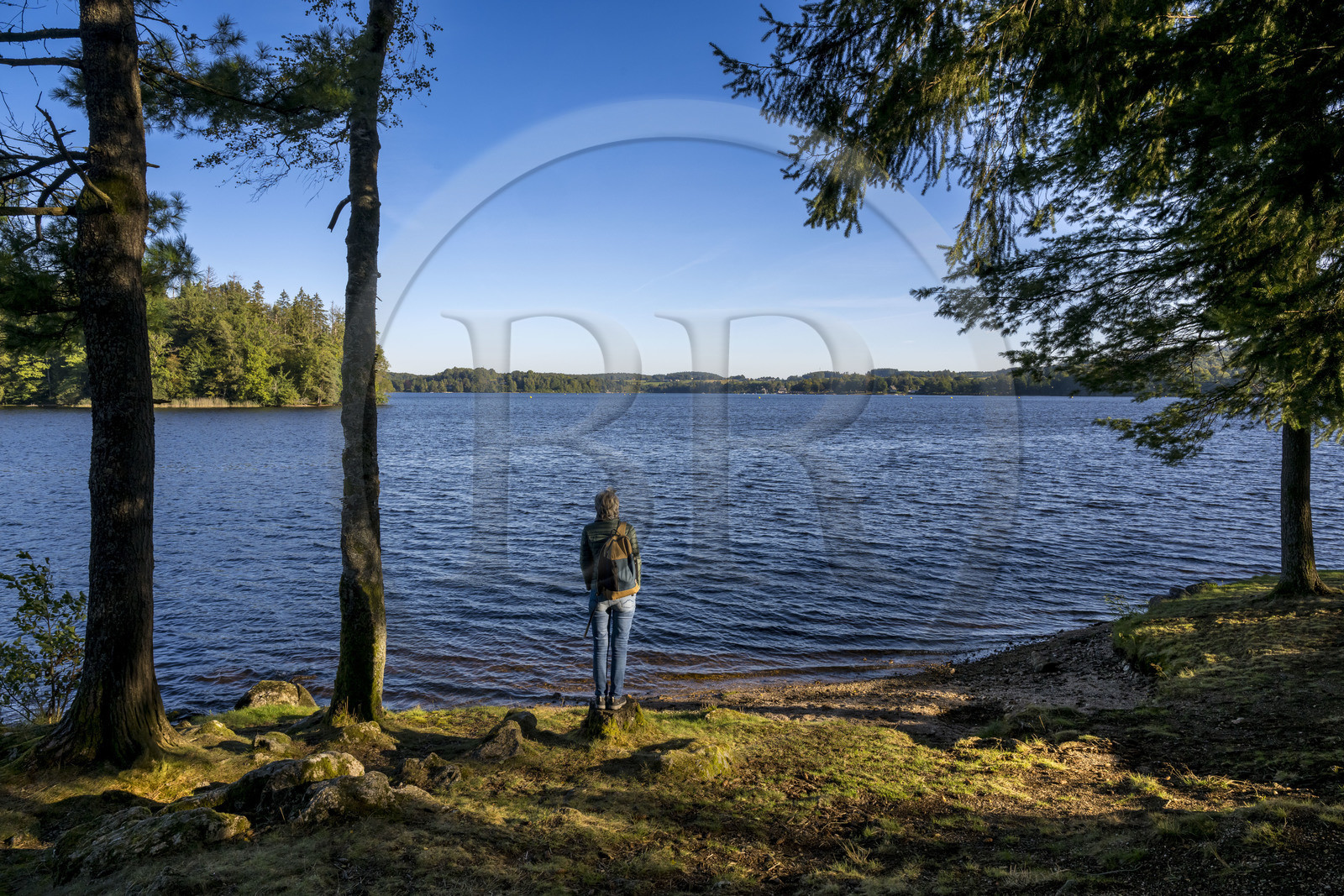 France, Nièvre (58), Parc naturel régional du Morvan, Moux-en-Morvan, lac des Settons
