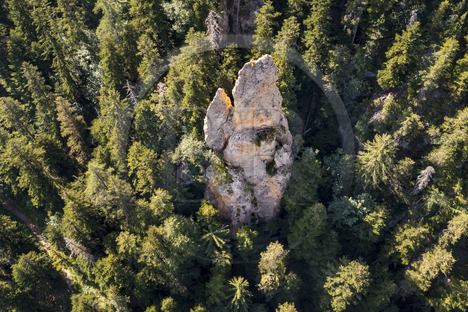 France, Hautes Alpes (05), Crots, rocher géant dans la forêt Boscodon (vue aérienne)