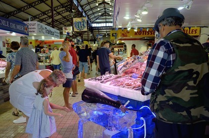 France, Aude, Narbonne, the covered market, fishmonger