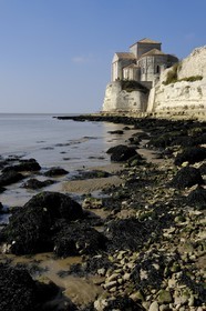 France, Charente-Maritime (17), Talmont-sur-Gironde, labelisé Les plus beaux Village de France, église Sainte-Radegonde