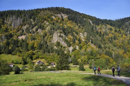 France, Vosges (88), Le Valtin, randonnée dans la vallée du Valtin dans la haute-vallée de la Meurthe