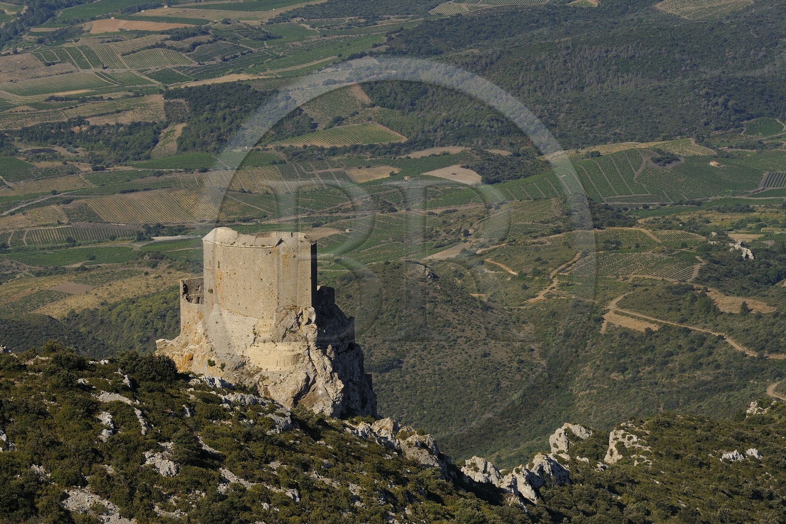 France, Aude (11), Pays Cathare, le château de Quéribus (vue aérienne)