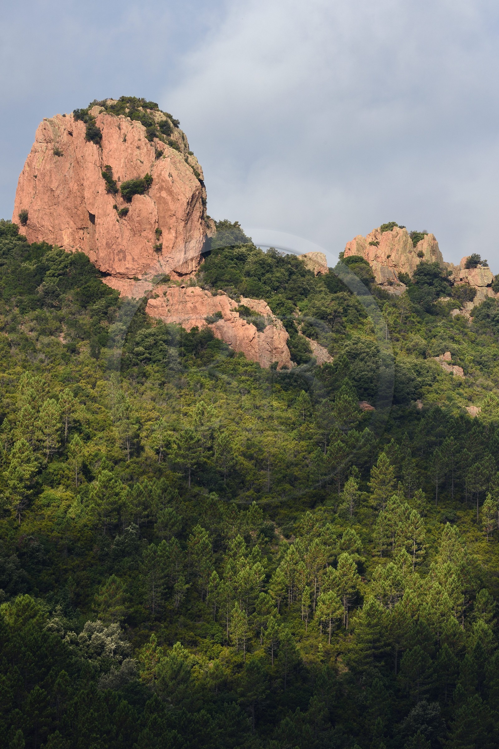 France, Var (83), Agay commune de Saint-Raphaël, massif de l'Estérel, rochers au Pic de l'Ours