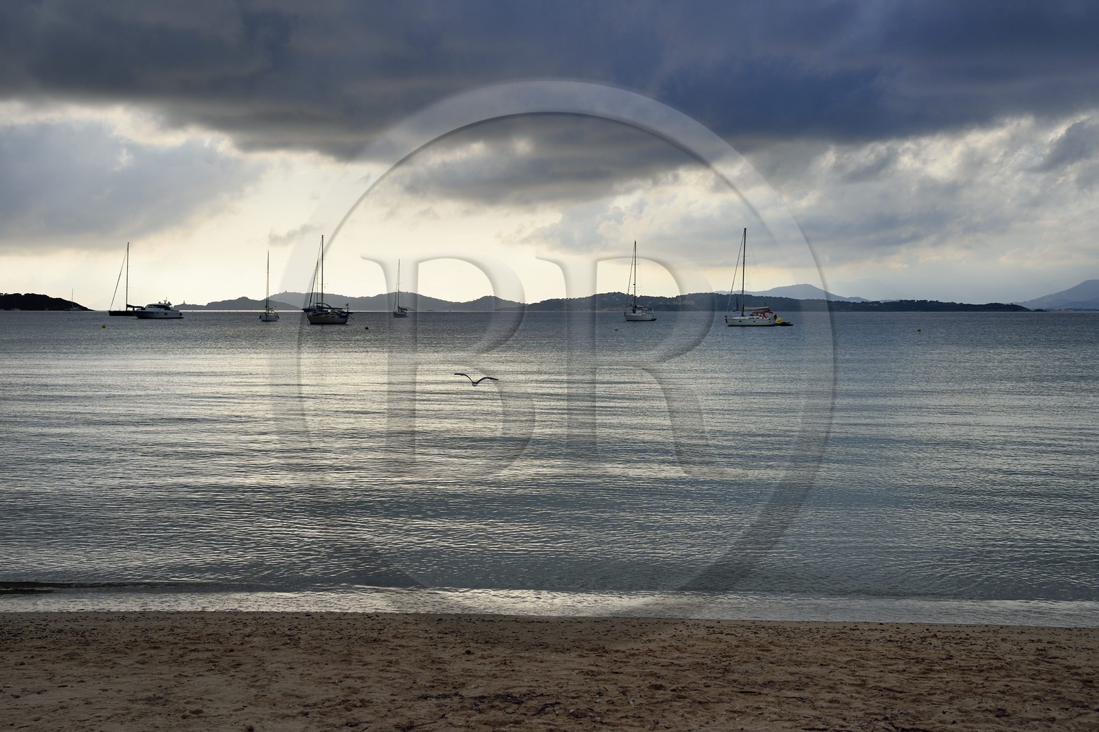 France, Var (83), Iles d'Hyères, parc national de Port Cros, Ile de Porquerolles, plage de la Courtade