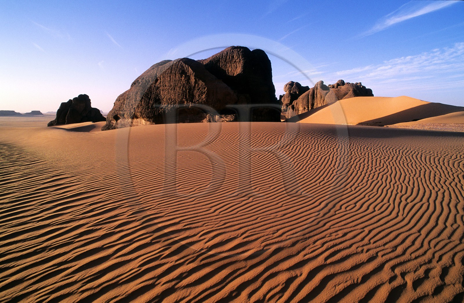 Tunisie, sud tunisien, la vaste étendue du Chott El-Djerid est ponctuée de Sebkha