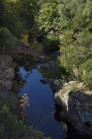 France, Corse-du-Sud (2A), Vallée du Prunelli à Palmente