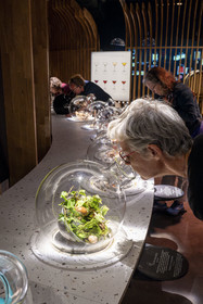 France, Côte-d'Or (21), les climats de Bourgogne classés Patrimoine Mondial de l'UNESCO, Beaune, la Cité des vins et climats de Bourgogne,  expériences sensorielles