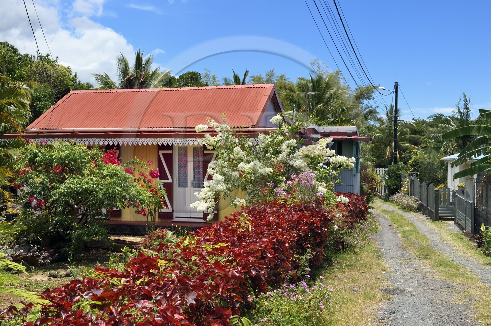 France, Ile de la Reunion, Sainte-Anne, case traditionnelle