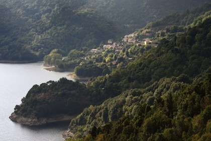 France, Corse-du-Sud (2A), Vallée du Prunelli, village de Tolla au bord du lac artificiel de Tolla depuis le col de la Scalledda