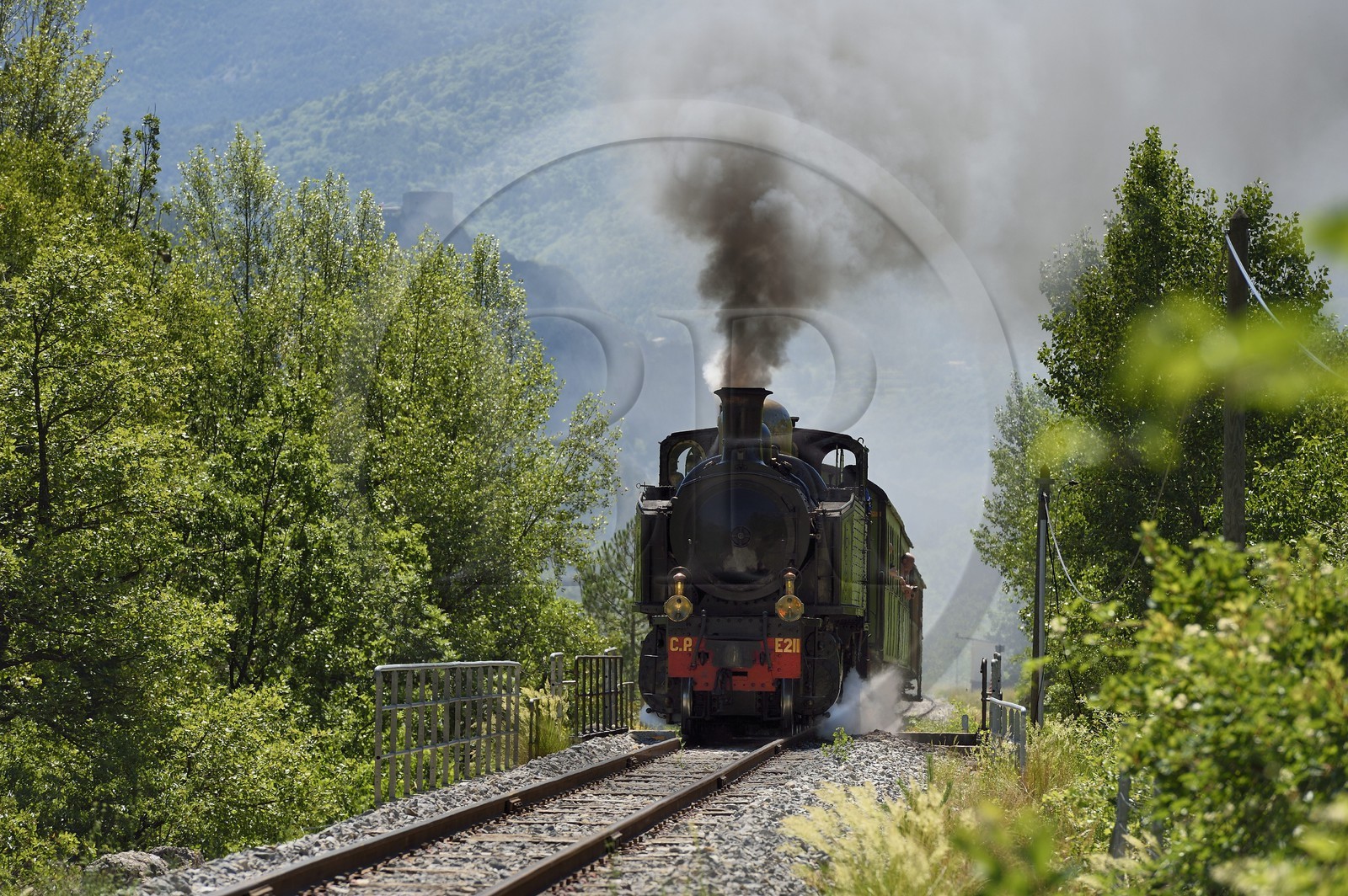 France, Alpes-de-Haute-Provence (04), Entrevaux, le Train des Pignes