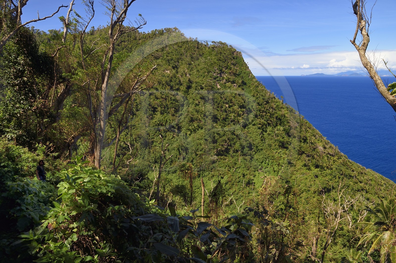 Caraïbes, Ile de la Dominique, randonneur sur le segment 13 du Waitukubuli National Trail dans le nord de l'île entre Pennville et Capuchin, les Saintes en Guadeloupe en arrière plan