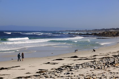 Etats-Unis, Californie, 17 mile drive, Spanish Bay