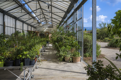 France, Alpes-Maritimes (06), Mouans-Sartoux, Jardins du Musée International de la Parfumerie​ (MIP)