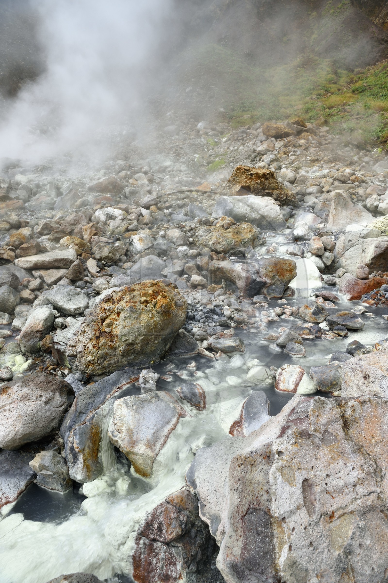 Caraïbes, Ile de la Dominique, Castle Bruce, Parc national du Morne Trois Pitons classé Patrimoine Mondial de l'UNESCO, la Vallée de la Désolation, rivière aux sources d'eau chaude dont la couleur unique est due à la présence de calcium, de carbone, de soufre et de fer, sur le sentier menant au Boiling Lake