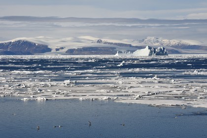 Groenland, cote Nord-Ouest, Smith sound au nord de la baie de Baffin, morceaux de glace de la banquise arctique et iceberg géant en arrière plan vers la côte canadienne de l'ile d'Ellesmere