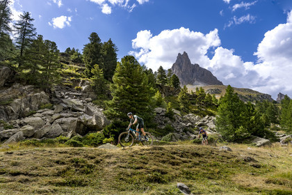 France, Hautes Alpes (05), le Briançonnais, Névache, cyclistes en VTT dans la vallée de la Clarée, le massif des Cerces et les pointes de la Main de Crépin (2942m) en arrière-plan