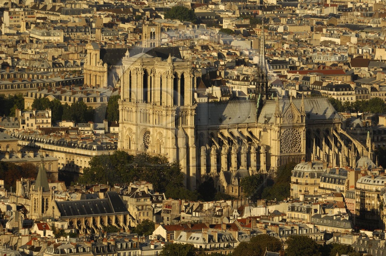 France, Paris (75), Ile de la Cité, cathédrale Notre-Dame de Paris