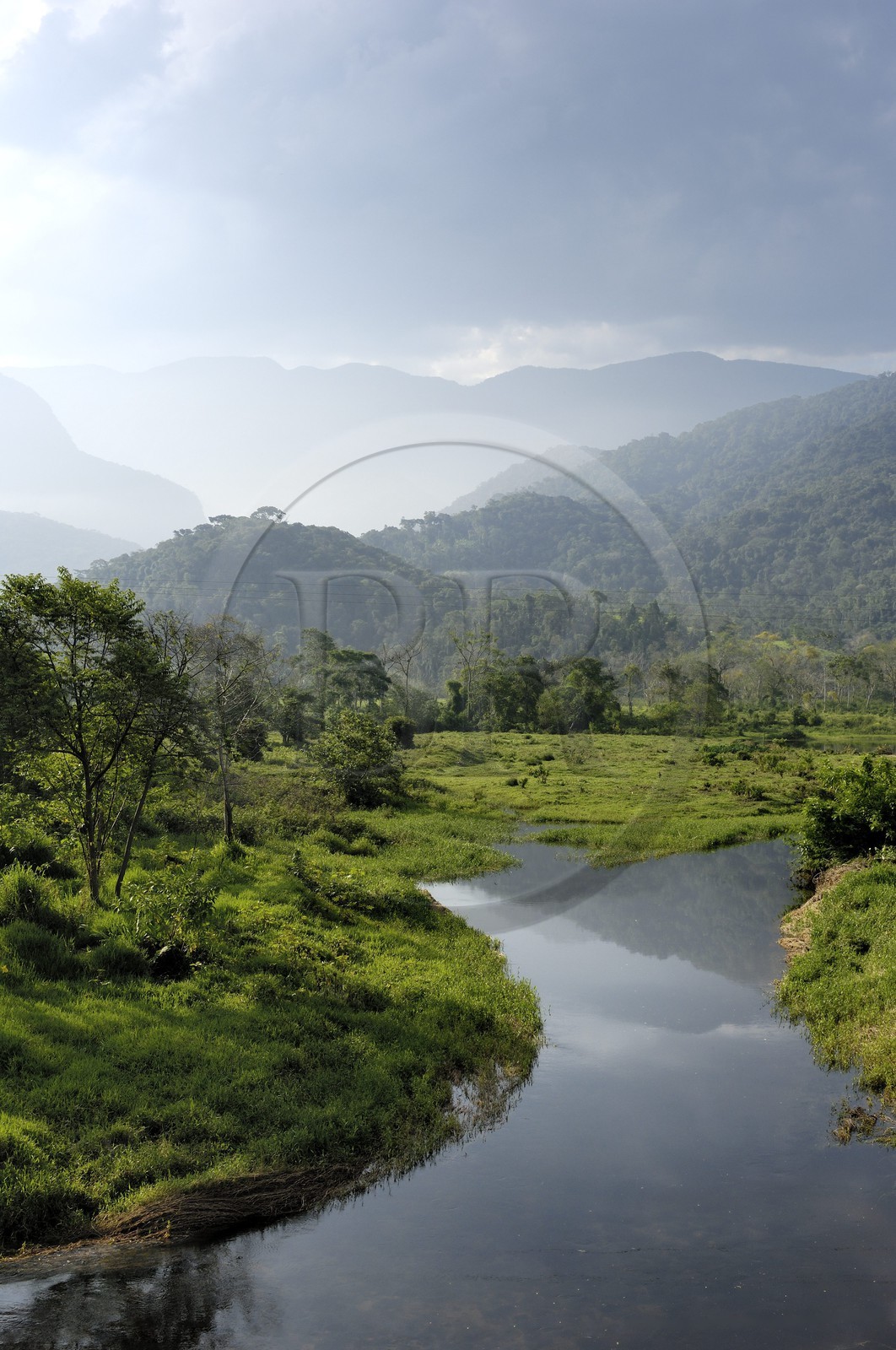 Brésil, Etat de Rio de Janeiro, le Rio Barra Grande qui descent des montagnes du Parque Nacional de Serra da Bocaina en bordure de la baie de Paraty (Route de l'or, Estrada Real)