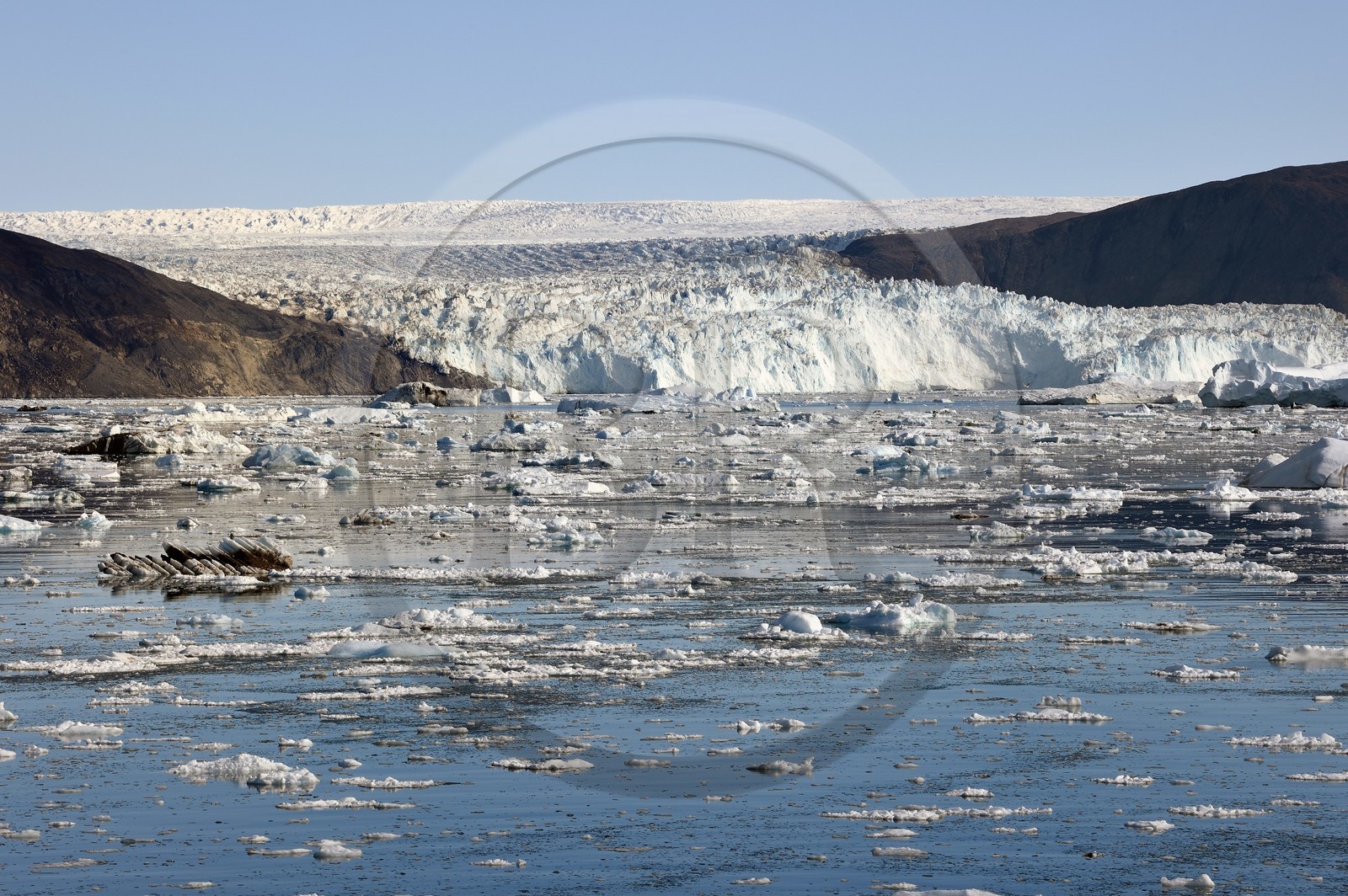 Groenland, cote ouest, baie de Disko, baie de Quervain, le glacier Eqip Sermia (glacier Eqi) s'étale sur 4 km et s'élève jusqu'à 50 mètres de hauteur